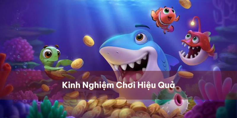 Chiến thuật hữu hiệu rinh tiền triệu 