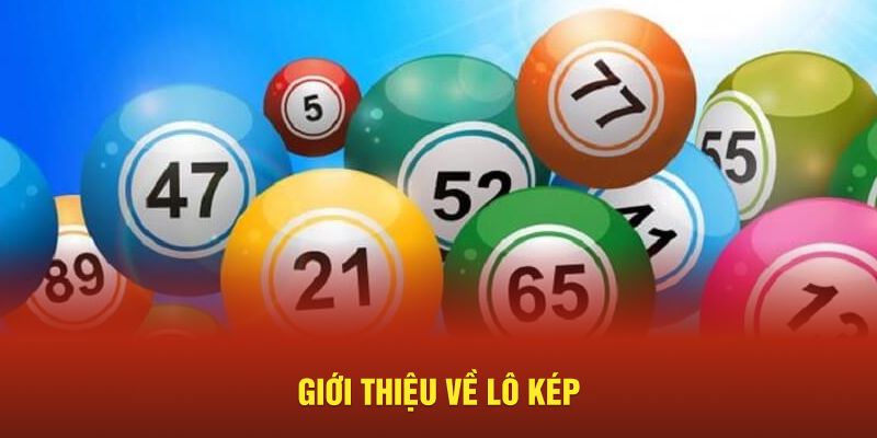 Giới thiệu về lô kép