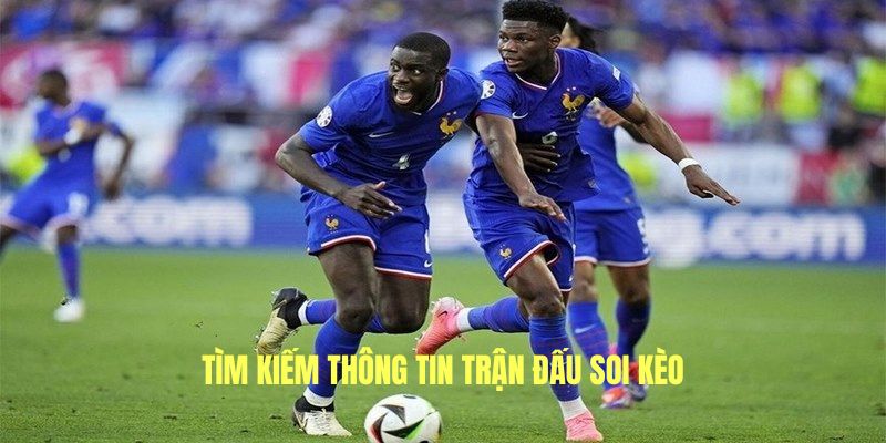 Nên soi kèo thể thao của các trang so sánh